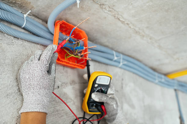 Best Electric Panel Repair  in Cairo, IL